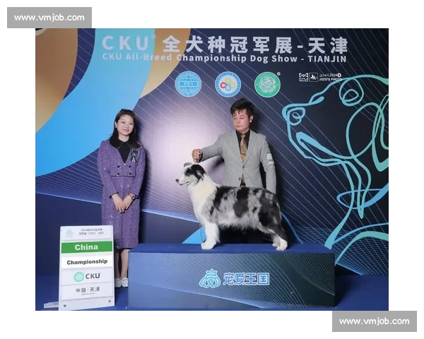 CKU比赛规则详解及参赛要求全面解析